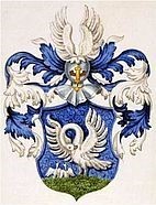 Waldvogel - Kauer